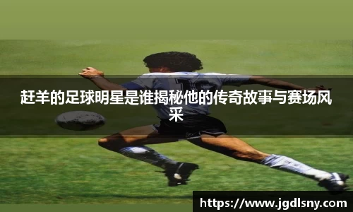 星空综合体育官网